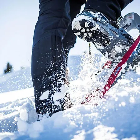 Alpengasthof Krische 3*