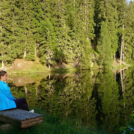 Alpengasthof Krische 3* 穆劳