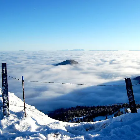 호텔 Alpengasthof Krische 무라우