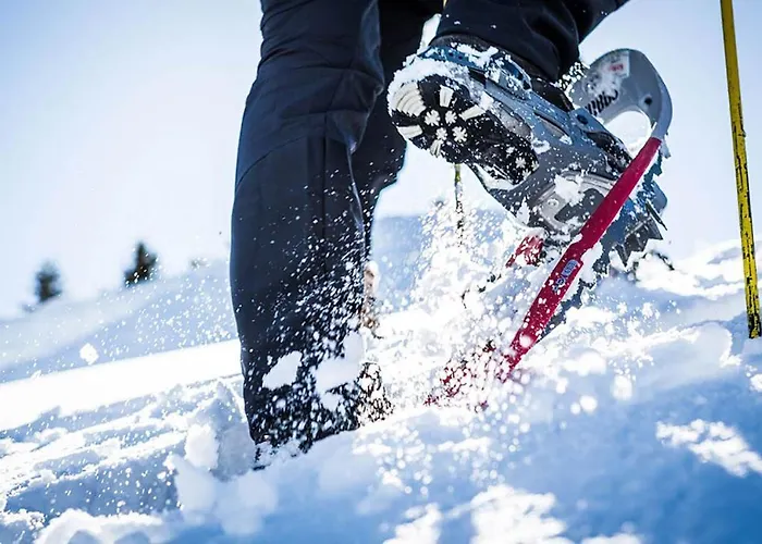 Alpengasthof Krische 3*