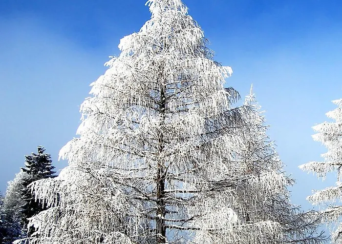 Alpengasthof Krische Hotel Murau