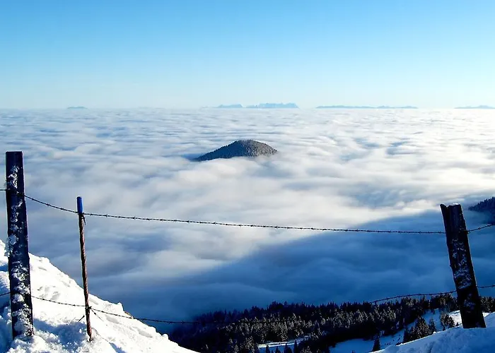 Отель Alpengasthof Krische Мурау